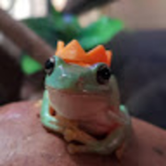 Meet your Posher, Alexis - Picture 1 of 1